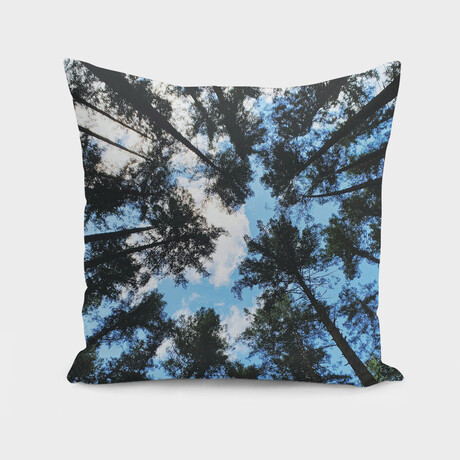 Look Up (14"H x 14"W)