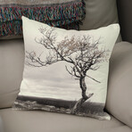 Lonely Tree (14"H x 14"W)