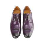 Brogue Wingtip Medallion Dress Shoe // Purple (Size 8)