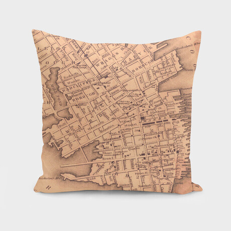 Vintage Map of Charleston South Carolina (1849) (14"H x 14"W)