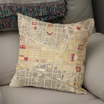 Vintage Map of Washington DC (1917) (14"H x 14"W)