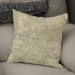 Vintage Map of Houston Texas (1913) (14"H x 14"W)