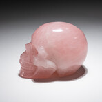 Genuine Polished Hand Carved Rose Quartz Skull v.2