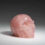 Genuine Polished Hand Carved Rose Quartz Skull v.3