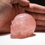 Genuine Polished Hand Carved Rose Quartz Skull