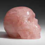 Genuine Polished Hand Carved Rose Quartz Skull v.3