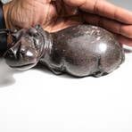 Genuine Polished Red Serpentine Shona Hippo Carving