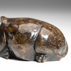 Genuine Polished Red Serpentine Shona Hippo Carving v.2