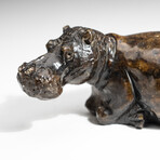 Genuine Polished Red Serpentine Shona Hippo Carving v.2