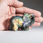 Genuine Polished Hand Carved Labradorite Elephant // Medium