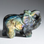 Genuine Polished Hand Carved Labradorite Elephant // Medium