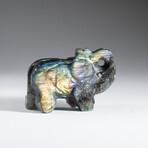 Genuine Polished Hand Carved Labradorite Elephant // Medium