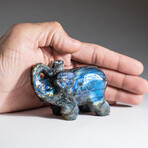 Genuine Polished Hand Carved Labradorite Elephant // Large