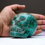 Genuine Polished Hand Carved Chrysocolla Skull