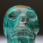 Genuine Polished Hand Carved Chrysocolla Skull