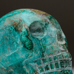 Genuine Polished Hand Carved Chrysocolla Skull