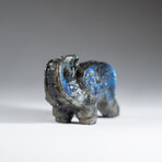 Genuine Polished Hand Carved Labradorite Elephant // Large