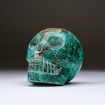 Genuine Polished Hand Carved Chrysocolla Skull