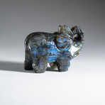 Genuine Polished Hand Carved Labradorite Elephant // Large