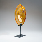 Genuine Polished Agate Slice + Metal Stand v.2