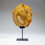 Genuine Polished Agate Slice + Metal Stand v.2