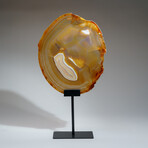 Genuine Polished Agate Slice + Metal Stand v.2