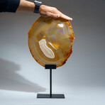 Genuine Polished Agate Slice + Metal Stand v.2