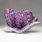 Genuine Large Amethyst Crystal Cluster v.2