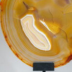 Genuine Polished Agate Slice + Metal Stand v.2