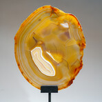 Genuine Polished Agate Slice + Metal Stand v.2