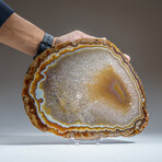 Genuine Agate Slice + Acrylic Display Stand v.2