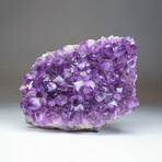 Genuine Large Amethyst Crystal Cluster v.1