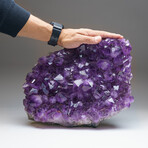 Genuine Large Amethyst Crystal Cluster v.1