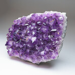 Genuine Large Amethyst Crystal Cluster v.1