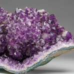 Genuine Large Amethyst Crystal Cluster v.2