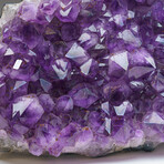 Genuine Large Amethyst Crystal Cluster v.1