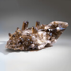 Genuine Natural Smoky Quartz Crystal Cluster v.5