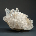 Genuine Natural Gem Quartz Crystal Cluster v.1