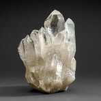 Genuine Natural Gem Quartz Crystal Cluster v.3