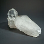 Genuine Natural Gem Quartz Crystal Cluster v.6