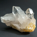 Genuine Natural Gem Quartz Crystal Cluster v.5