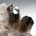 Genuine Natural Smoky Quartz Crystal Cluster v.2