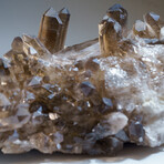 Genuine Natural Smoky Quartz Crystal Cluster v.5