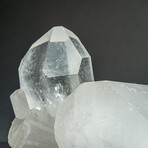 Genuine Natural Gem Quartz Crystal Cluster v.6