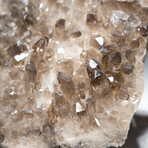 Genuine Natural Smoky Quartz Crystal Cluster v.1