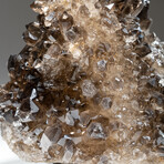 Genuine Natural Smoky Quartz Crystal Cluster v.4