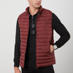 Colton Vest // Burgundy (Small)