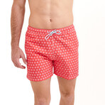 Sea Horse Swim Shorts // Red (X-Small)