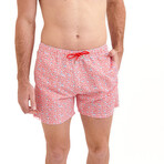 Twinkle Stars Swim Shorts // Red (X-Small)