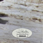 Ray Park // Autographed "Star Wars Darth Maul - Lightsaber" 16x20 Photo // Framed